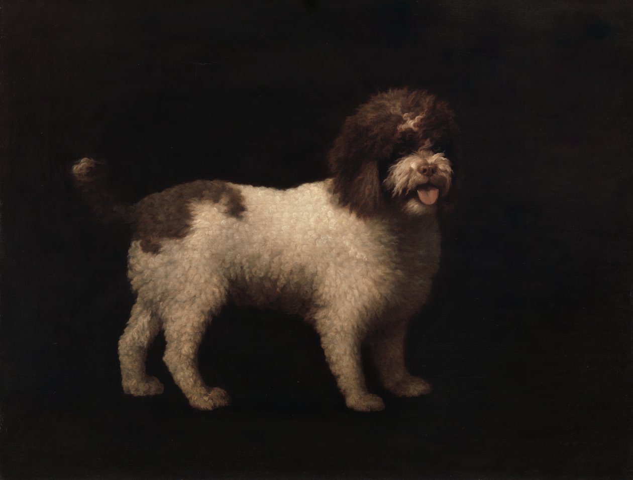 Vesispanieli, 1769. tekijältä George Stubbs