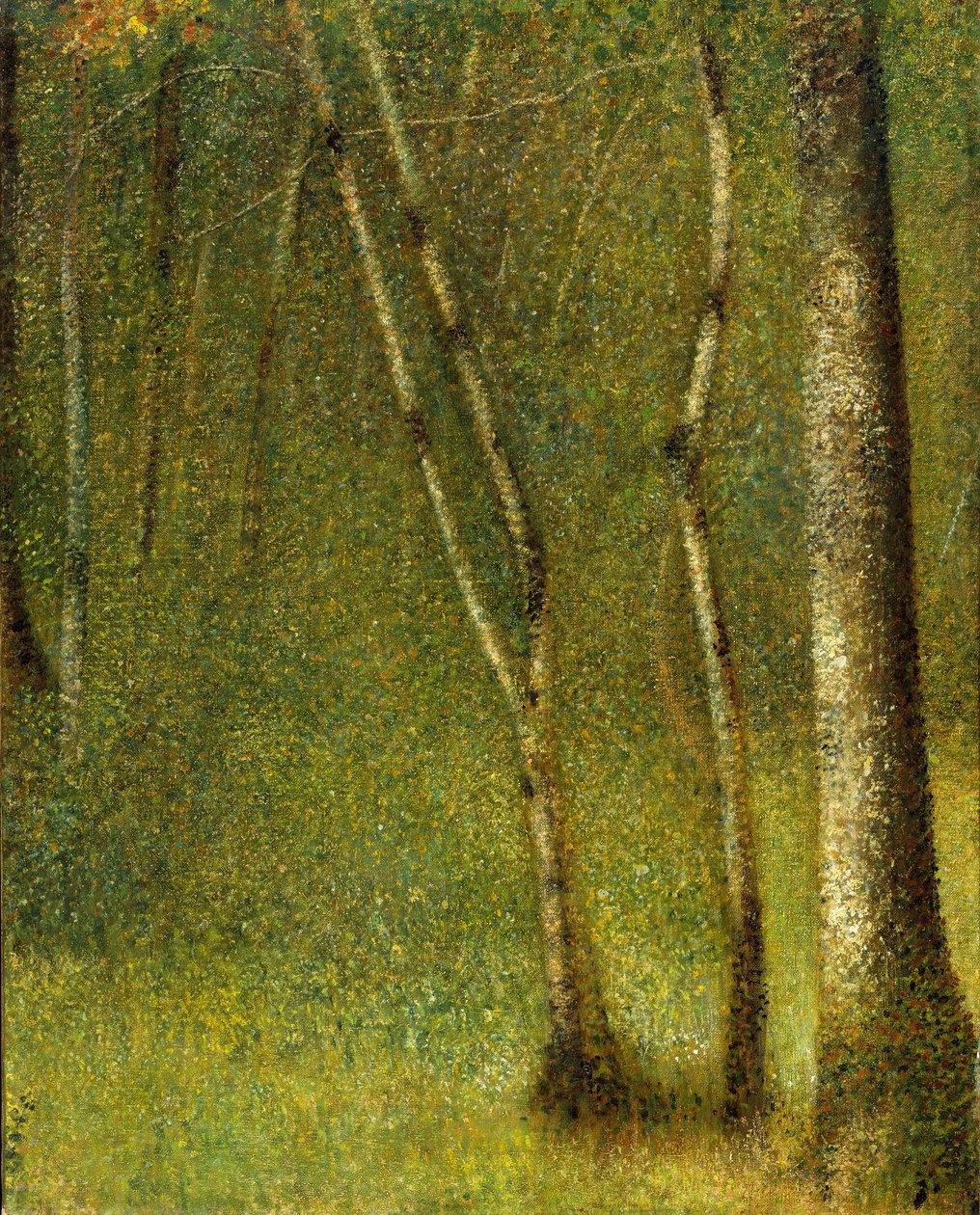 Pontaubertin metsä, 1881 tekijältä Georges Seurat