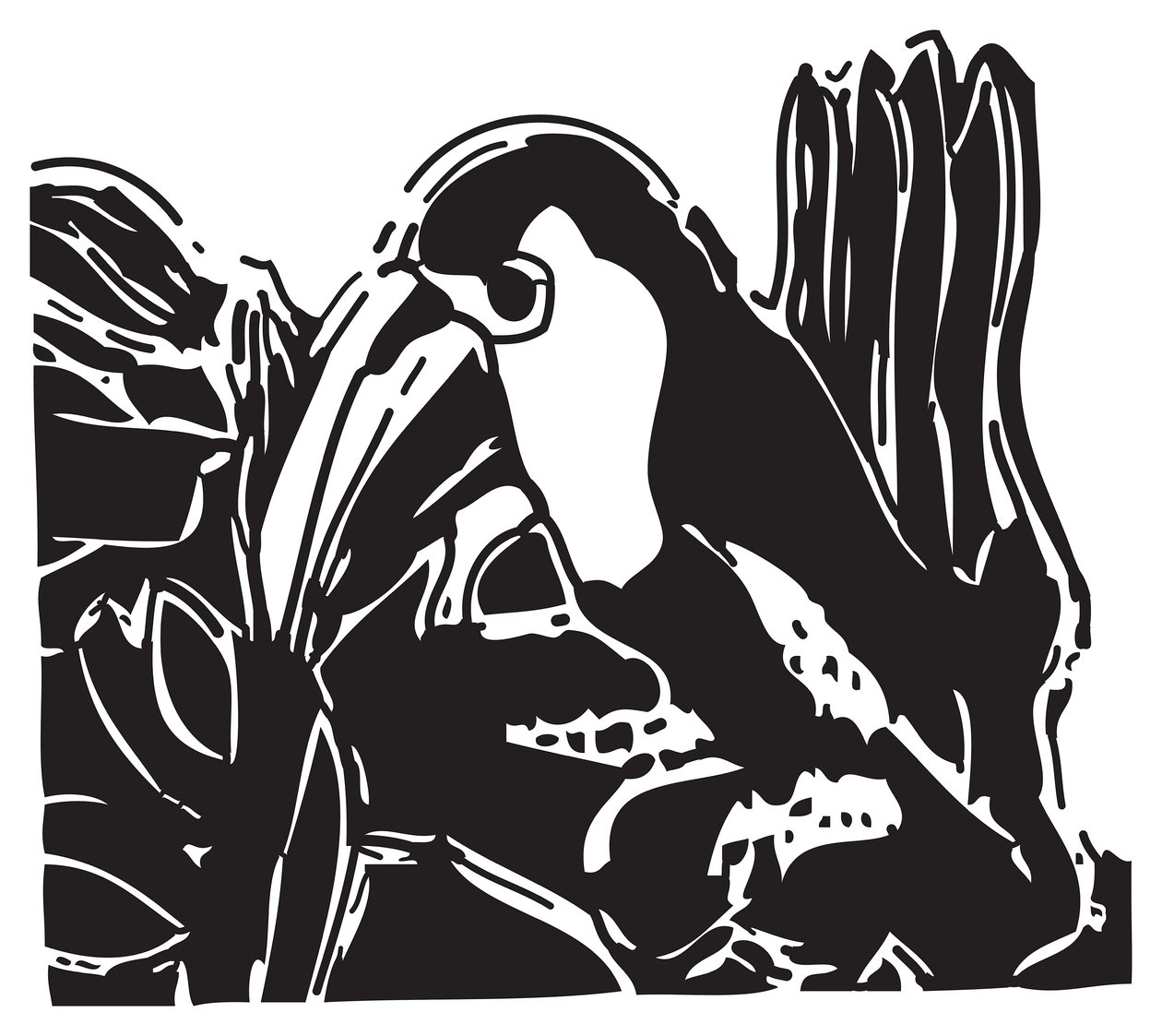 Toucan tekijältä Gerhardt Isringhaus