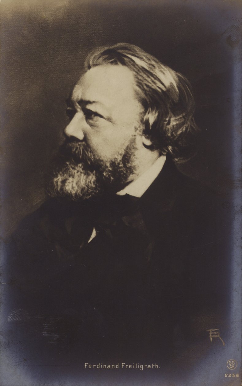 Ferdinand Freiligrath (1810-1876), saksalainen runoilija (s/w-kuva). tekijältä German Photographer