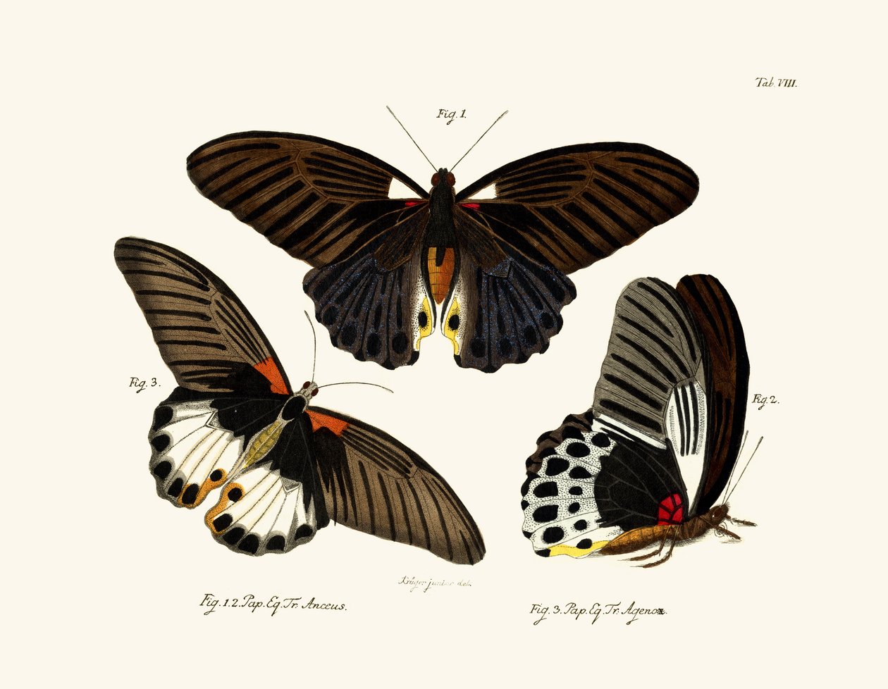 Perhoset, 1783-1806 tekijältä German School