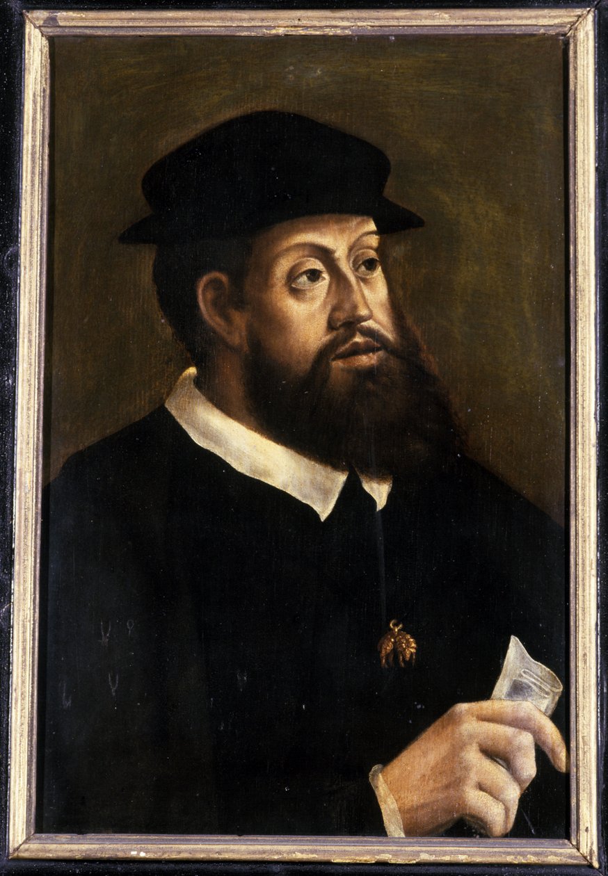 Kuningas Kaarle V, 1501-1600 tekijältä German School