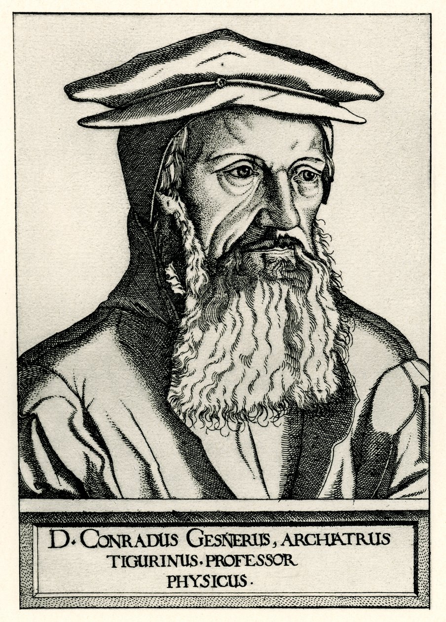 Konrad Gesner tekijältä German School
