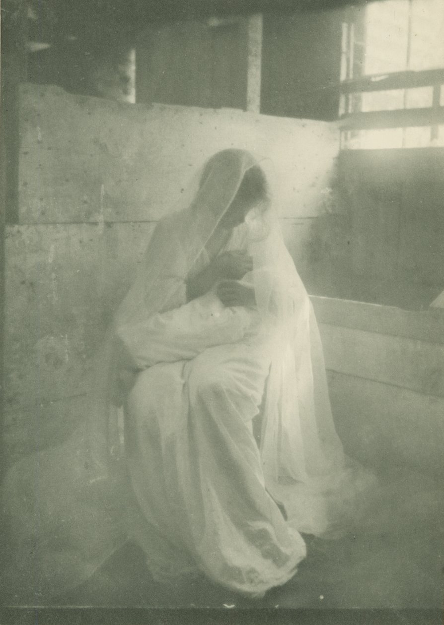 Seimi, 1904-1914 (syväpaino) tekijältä Gertrude Käsebier