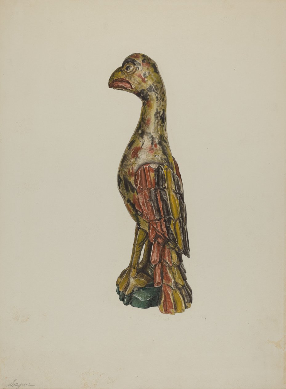 Pa. Saksalainen papukaija, n. 1939. tekijältä Giacinto Capelli