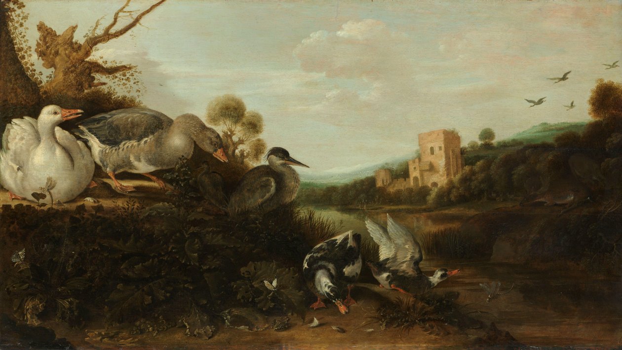 Vesilinnut tekijältä Gijsbert Gillisz de Hondecoeter