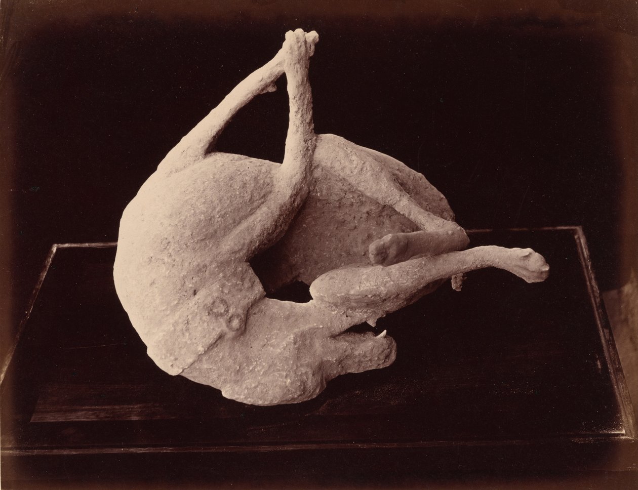 Valettu, Pompeji, n. 1870 (kuva) tekijältä Giorgio Sommer