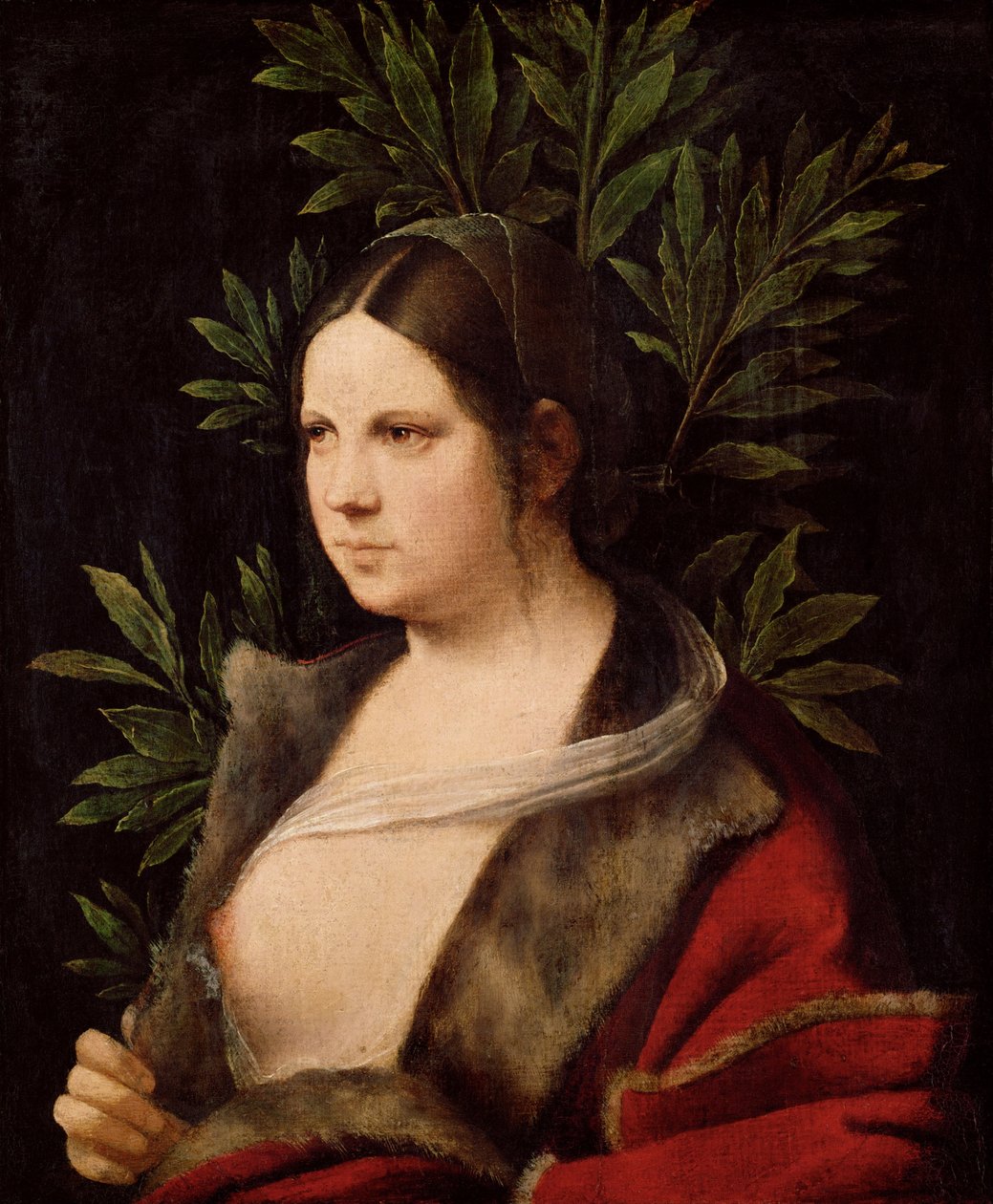 Nuori nainen Laura, 1506 tekijältä Giorgione da Castelfranco