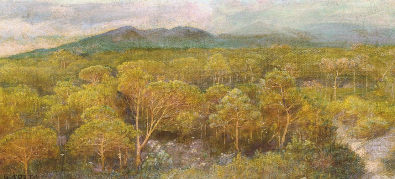 Kuoleva suudelma tuoksuvalle mäntymetsään tekijältä Giovanni Costa