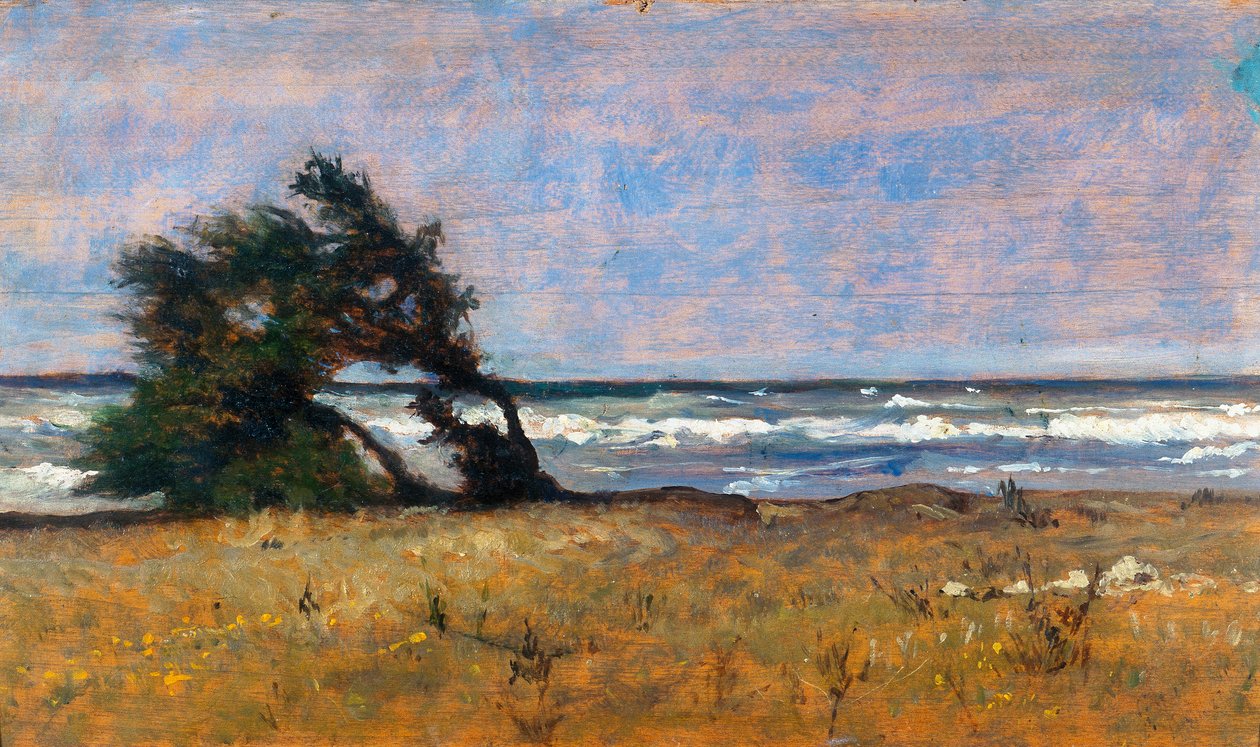 Myrsky tekijältä Giovanni Fattori