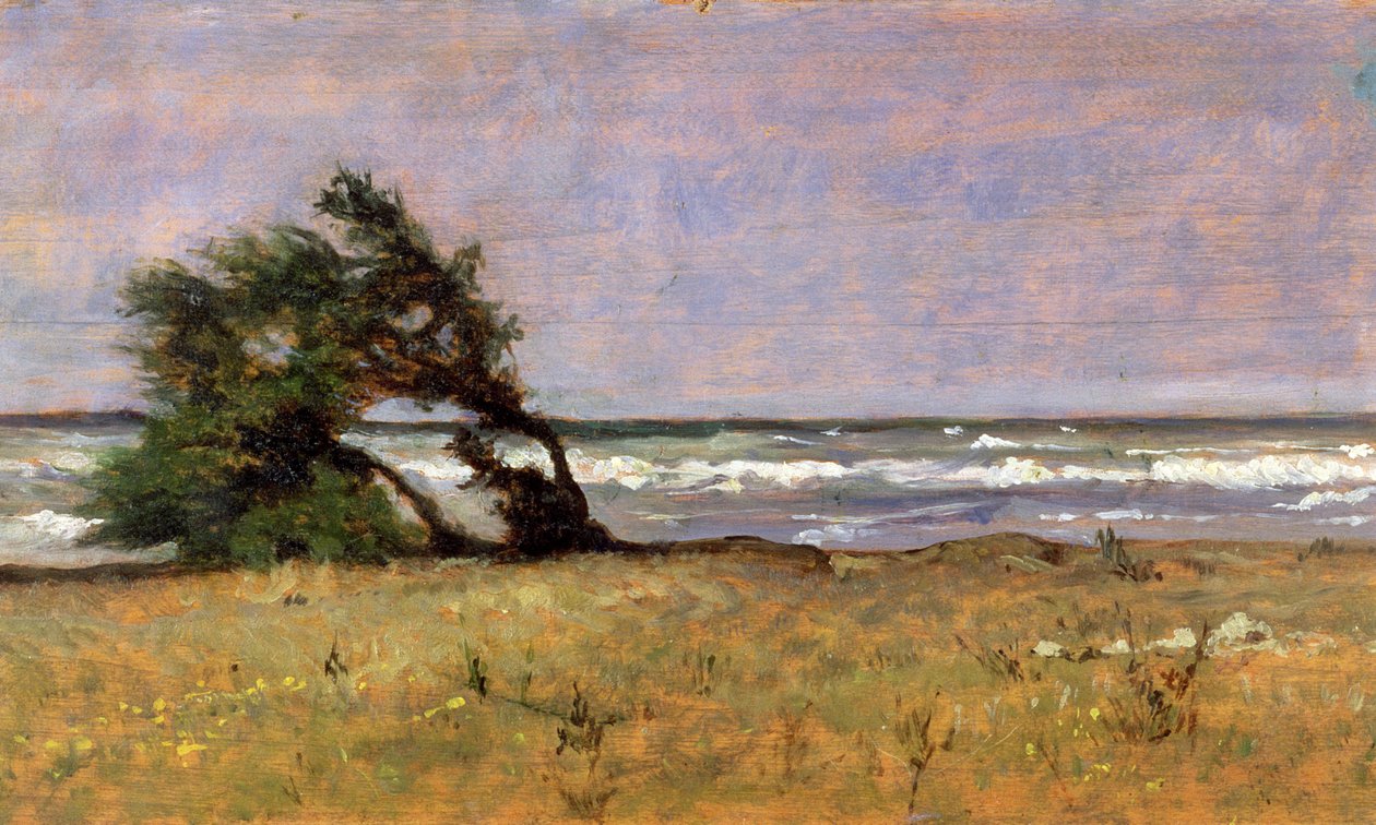 Tempest tekijältä Giovanni Fattori