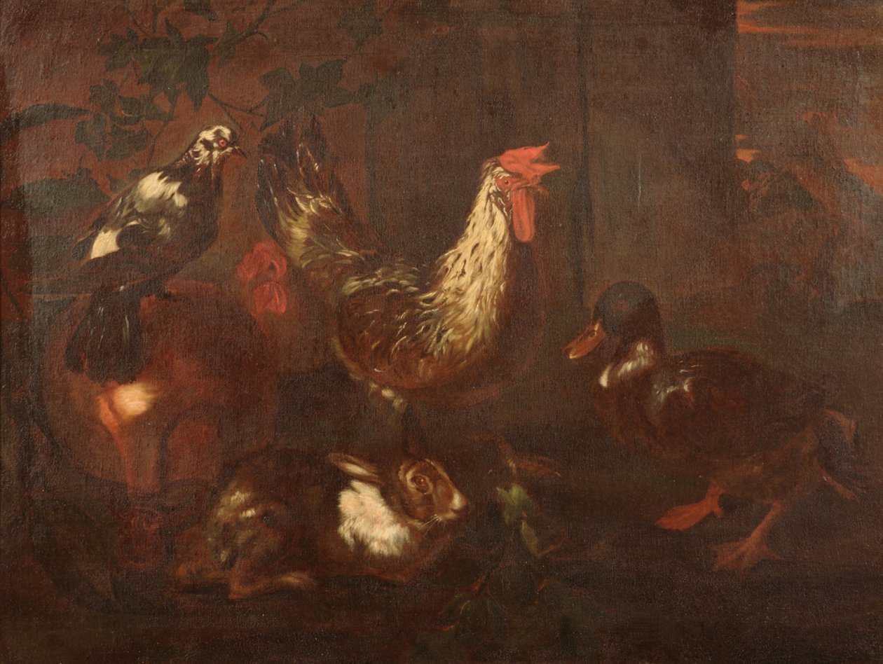 Volatili da cortile ja conigli tekijältä Giovanni Francesco Cassana