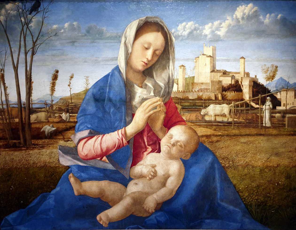 Madonna of the Meadow tekijältä Giovanni Bellini