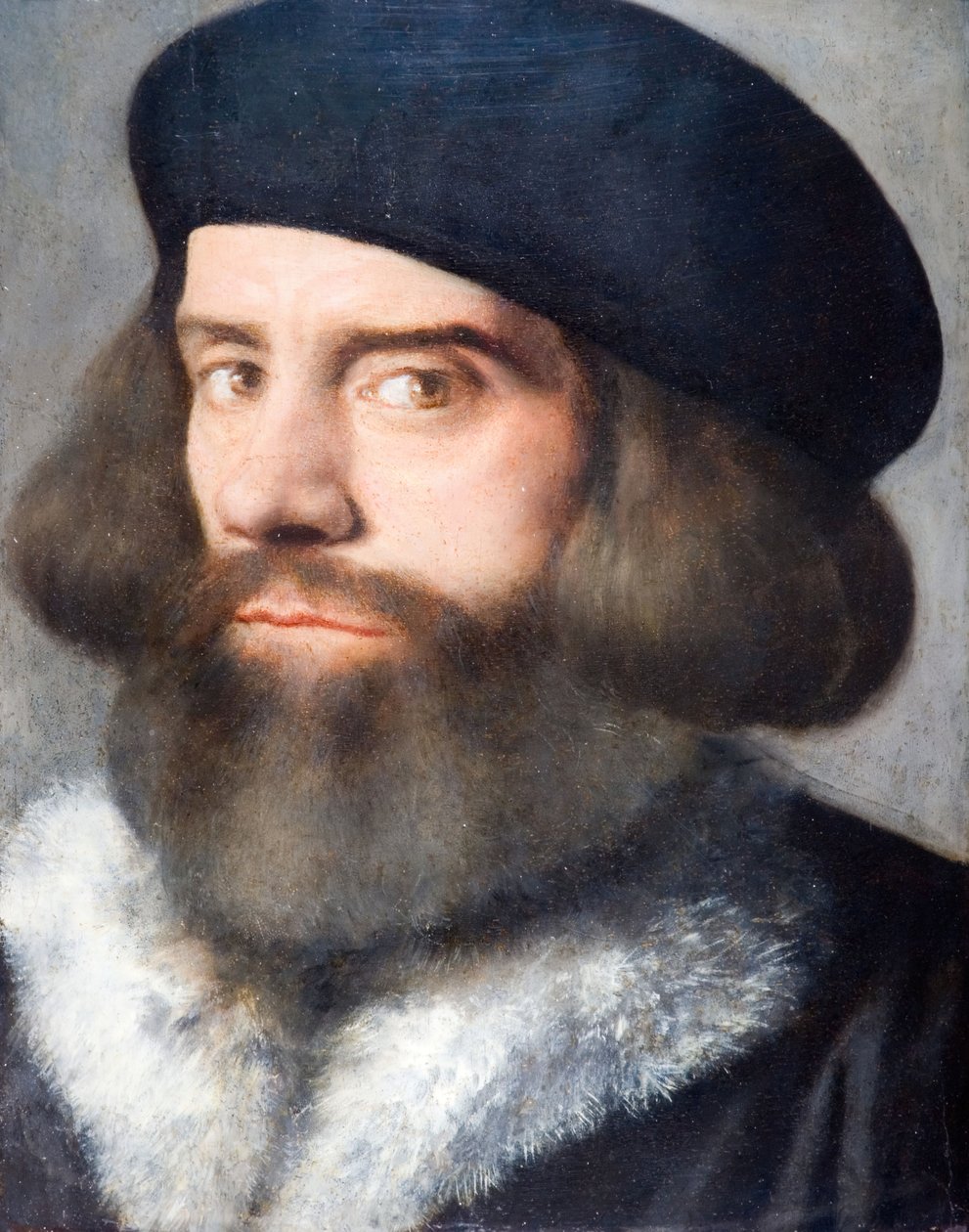 Parrakkaan miehen pää, 1537. tekijältä Giovanni Buonconsiglio