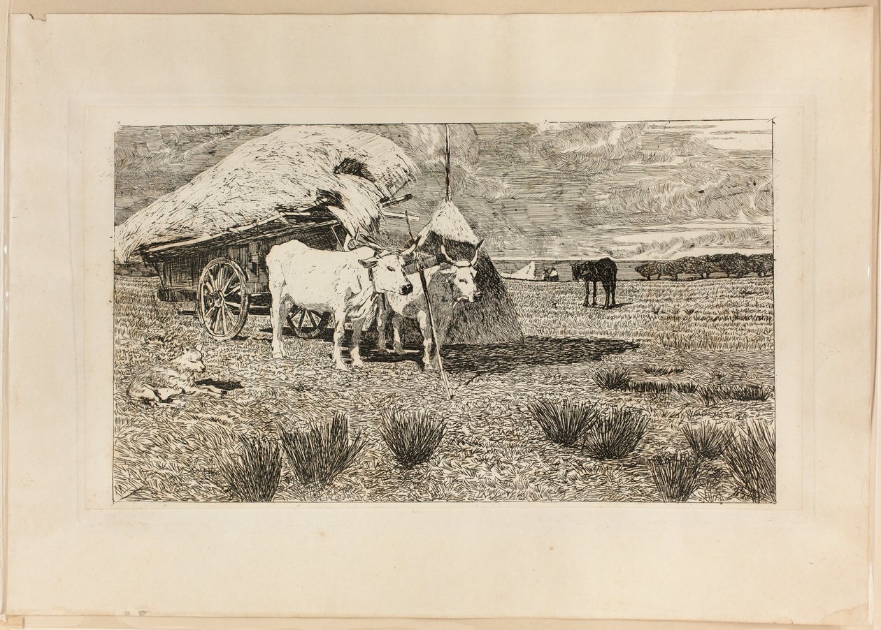 Härät ja vaunut (Maremma) tekijältä Giovanni Fattori