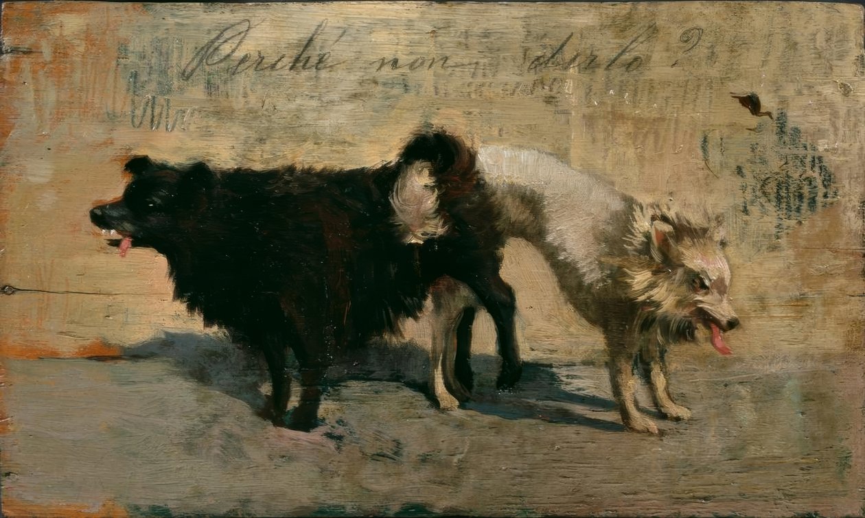 Perché non dirlo? tekijältä Giovanni Fattori