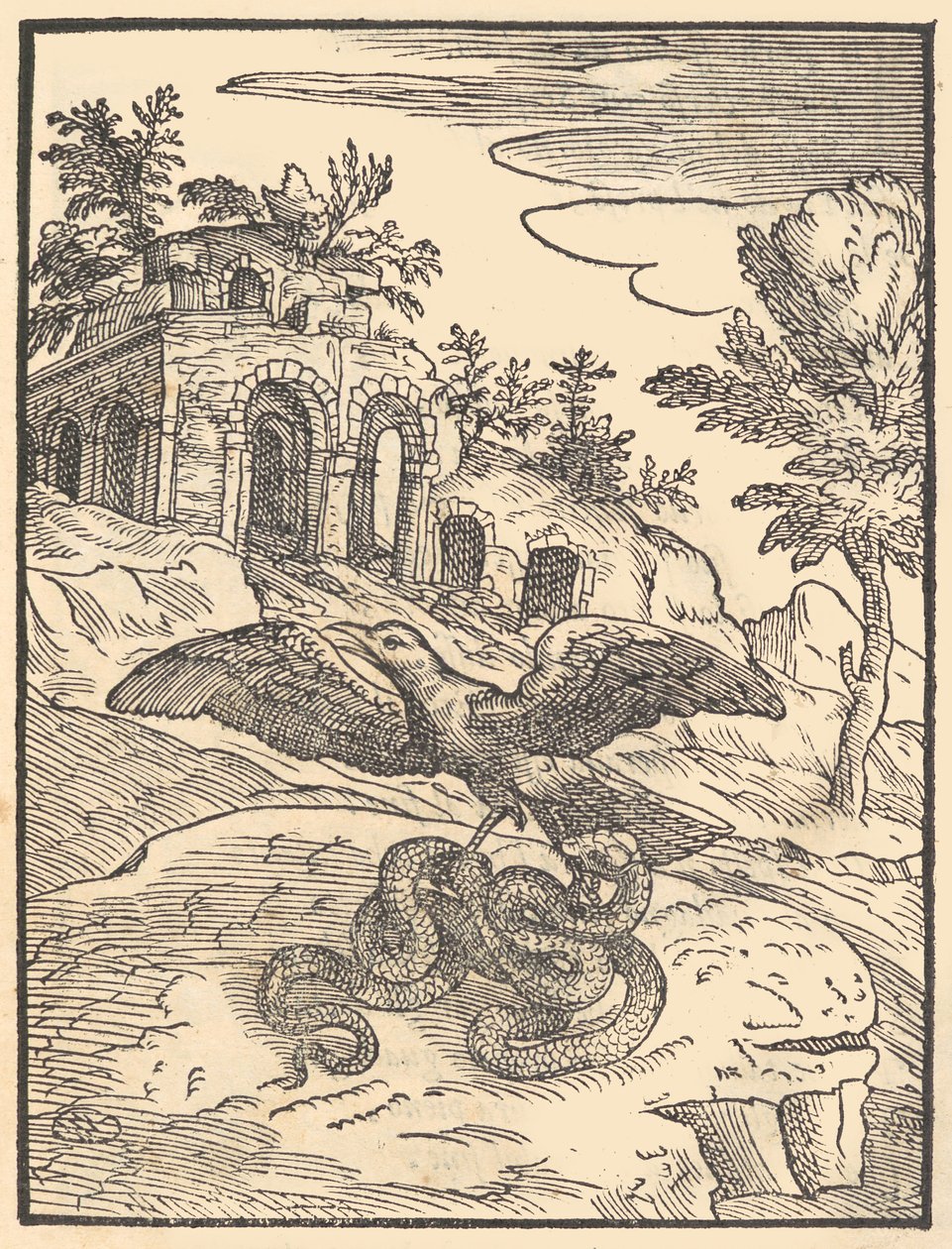 Lintu ja käärme, 1570. tekijältä Giovanni Maria Verdizotti