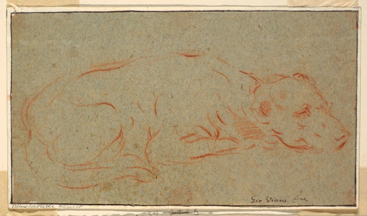 Sketch: Sohvaava koira tekijältä Giovanni Maria Viani