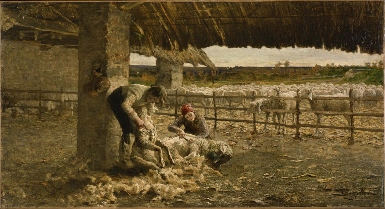 Lammasleikkaus, 1883-1884 tekijältä Giovanni Segantini