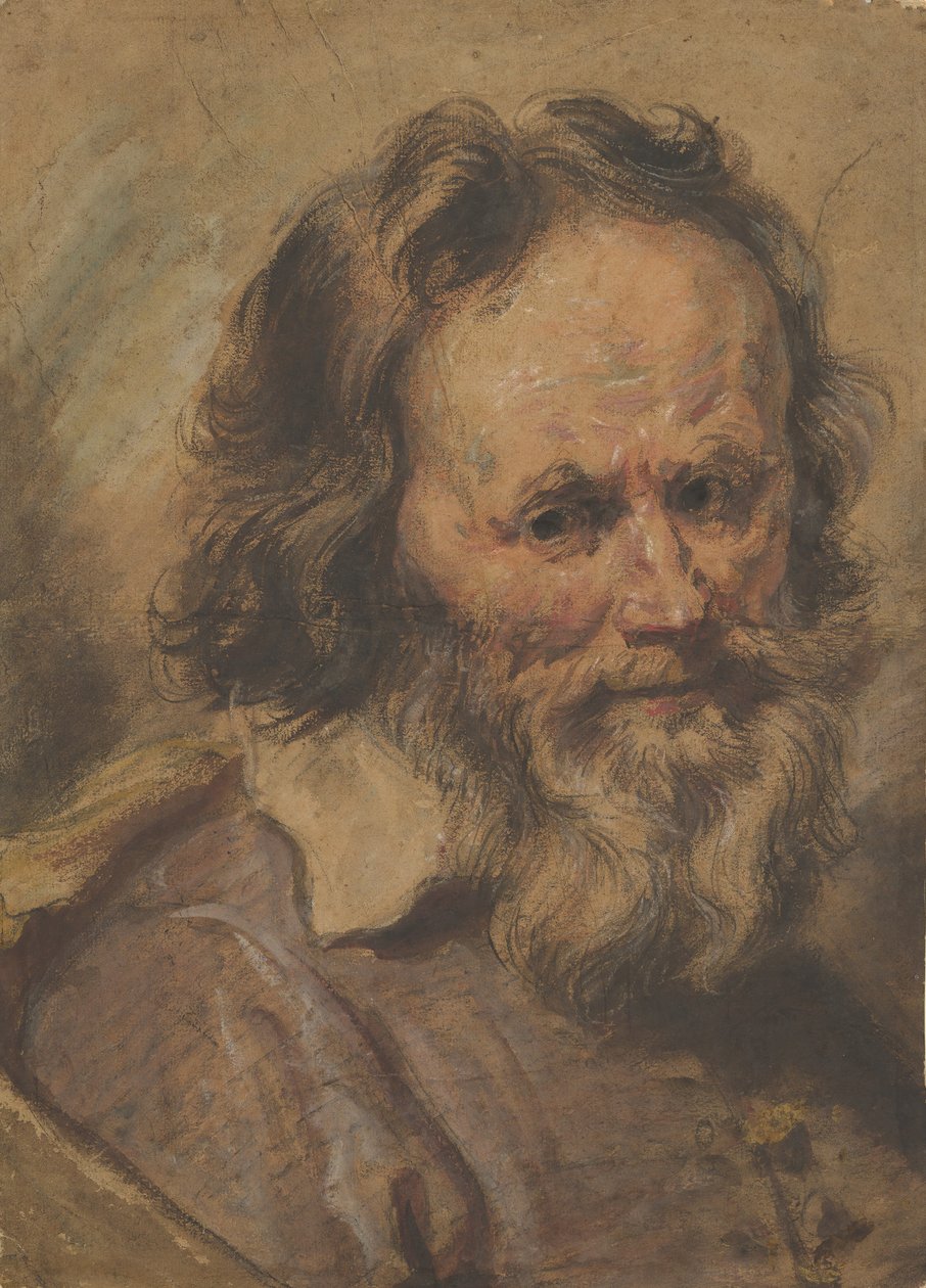 Parrakkaan miehen pää, 1600-1630. tekijältä Giovanni Serodine