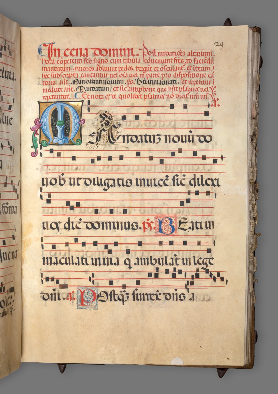 Asteittainen, c. 1520. tekijältä Girolamo dai Libri