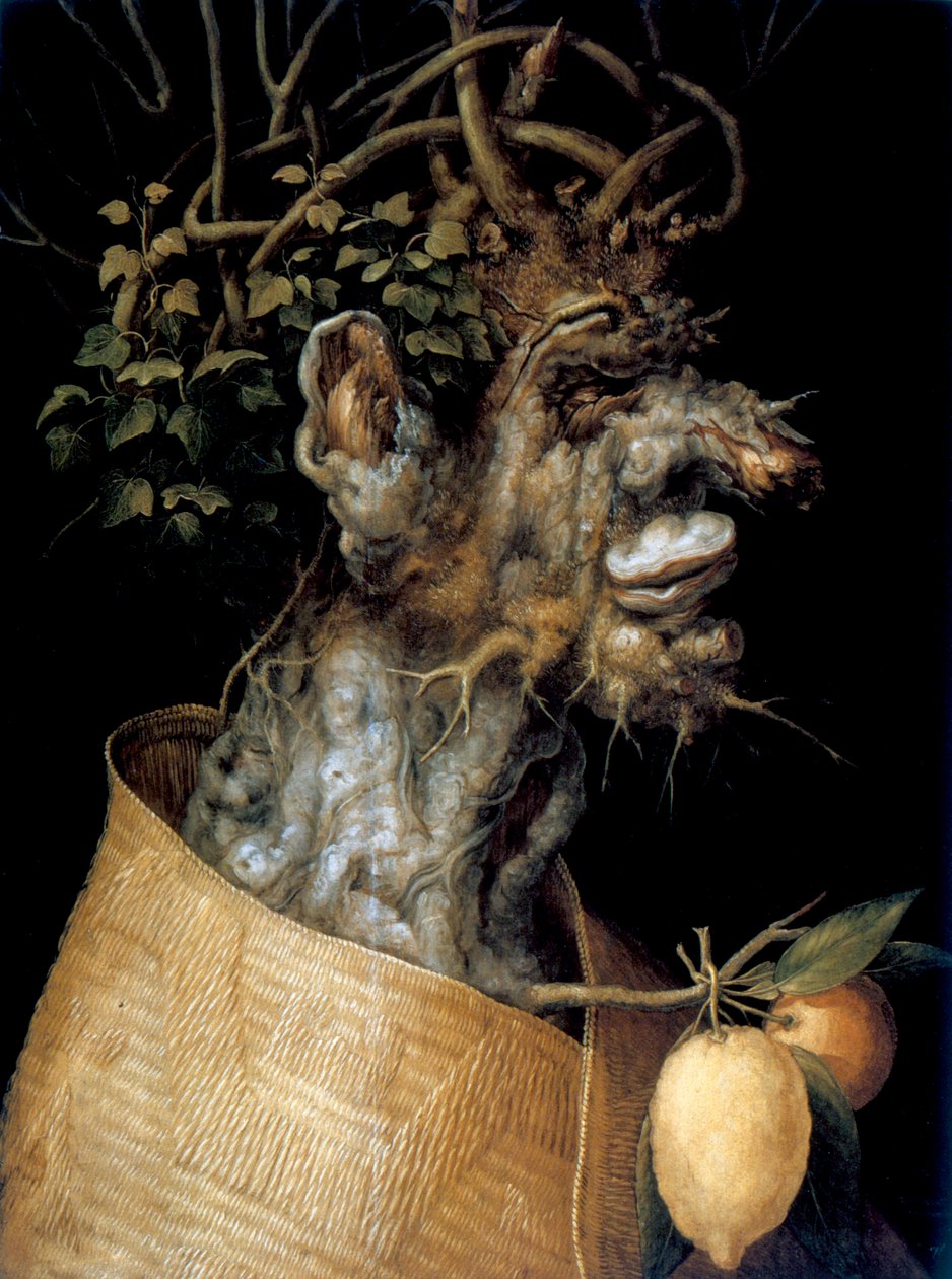 Talvi, 1563 tekijältä Giuseppe Arcimboldi