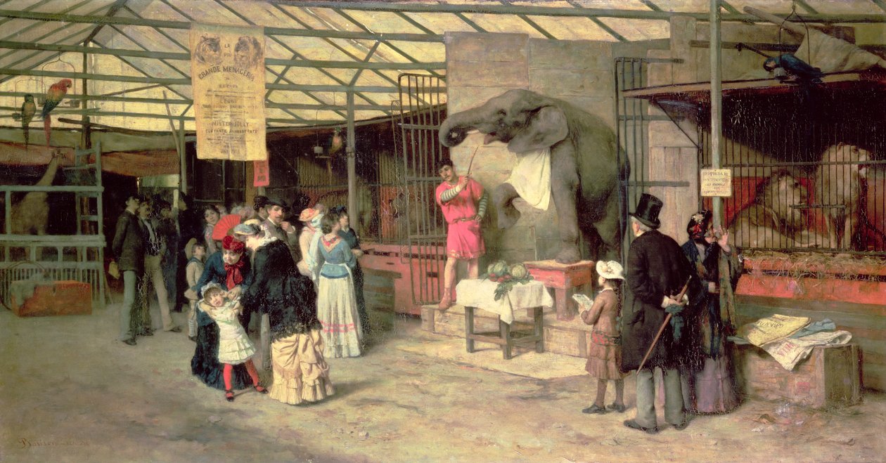 Eläintarhassa tekijältä Giuseppe Barison