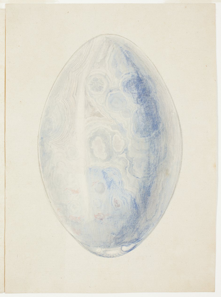 Yleiskatsaus Oval Shell Stone tekijältä Giuseppe Grisoni