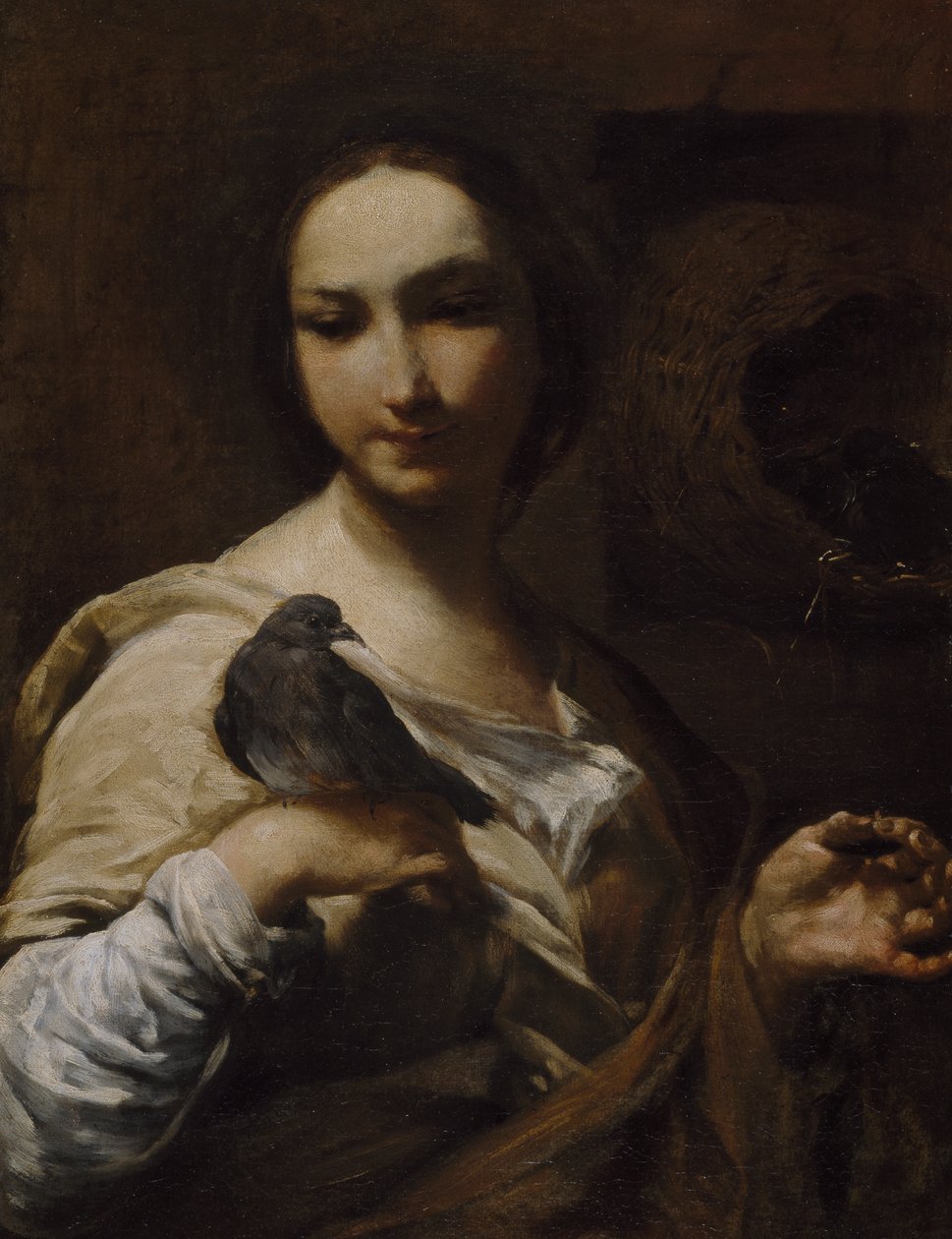 Tyttö pitelee kyyhkystä, 1721-27 tekijältä Giuseppe Maria Crespi