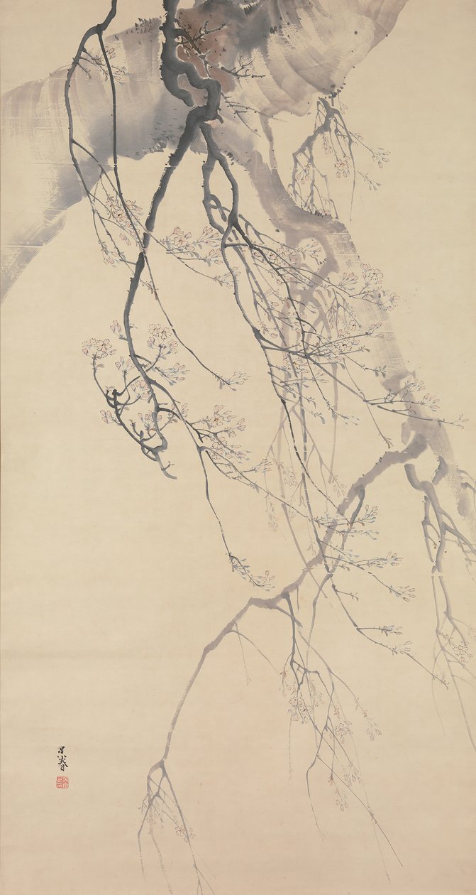 Kirsikankukat, 1700-luku. tekijältä Go Shun