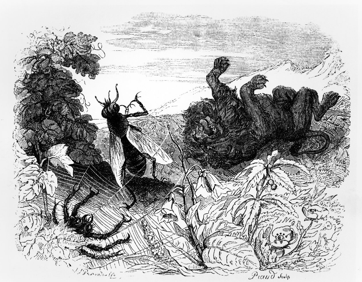 The Lion and the Gnat, kuvitus "Fables" of La Fontainen, julkaisija H. Fournier Aine, 1838 tekijältä Grandville