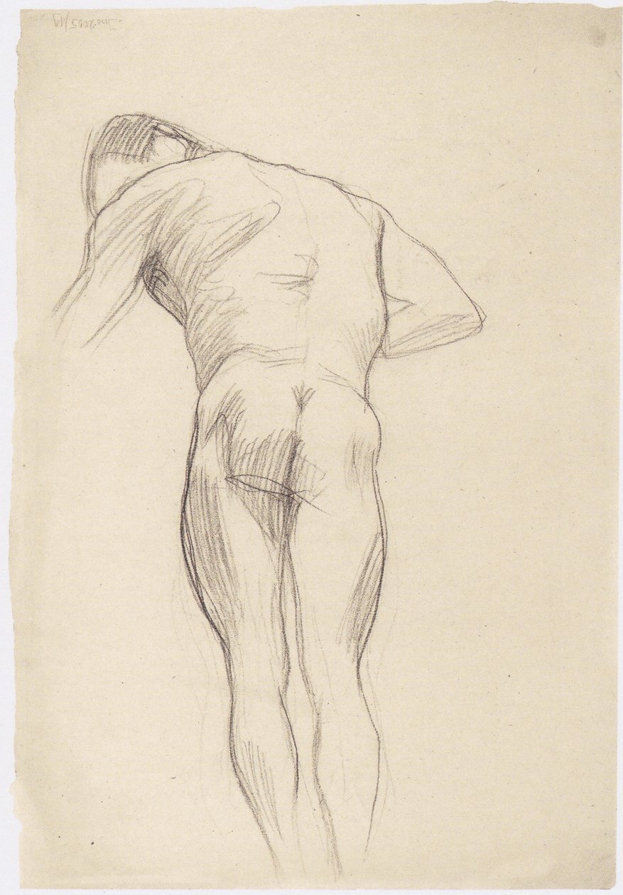 Männerrückenakt nach linkit tekijältä Gustav Klimt