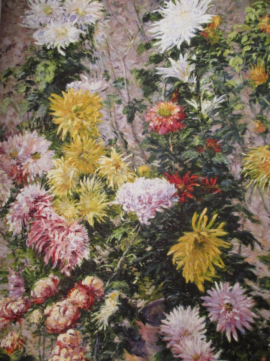 Chrysanthèmes blancs et jaunes tekijältä Gustave Caillebotte