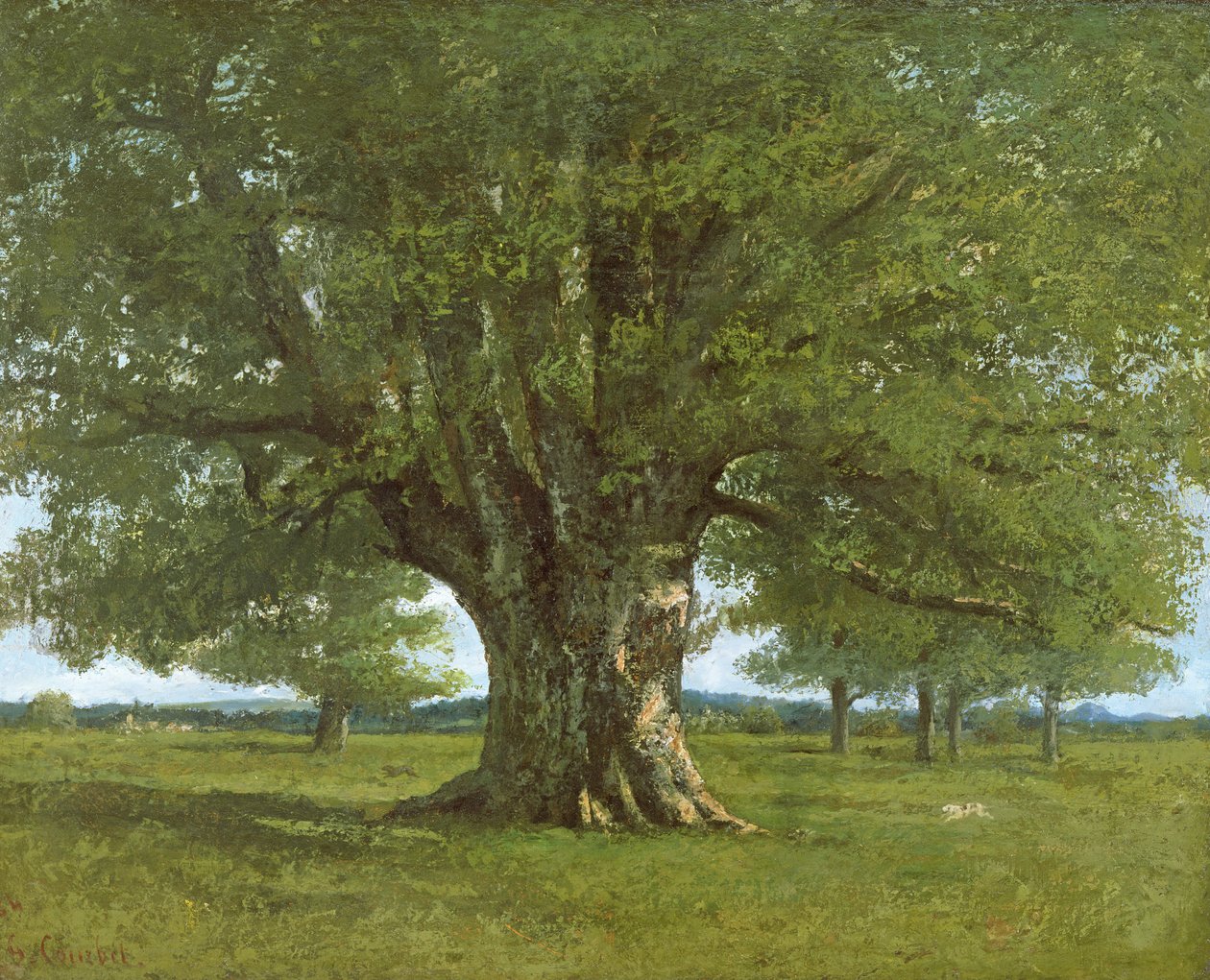 Flagey Oak Tree, 1864 tekijältä Gustave Courbet