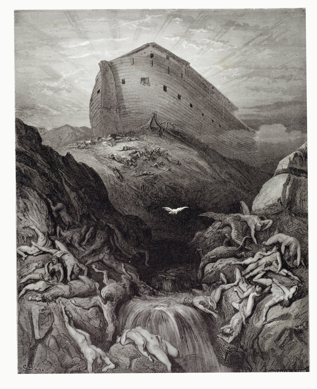 Arkista lähetetty kyyhkynen, kaiverrus Stephane Pannemaker (1847-1930) n. 1868 tekijältä Gustave Dore