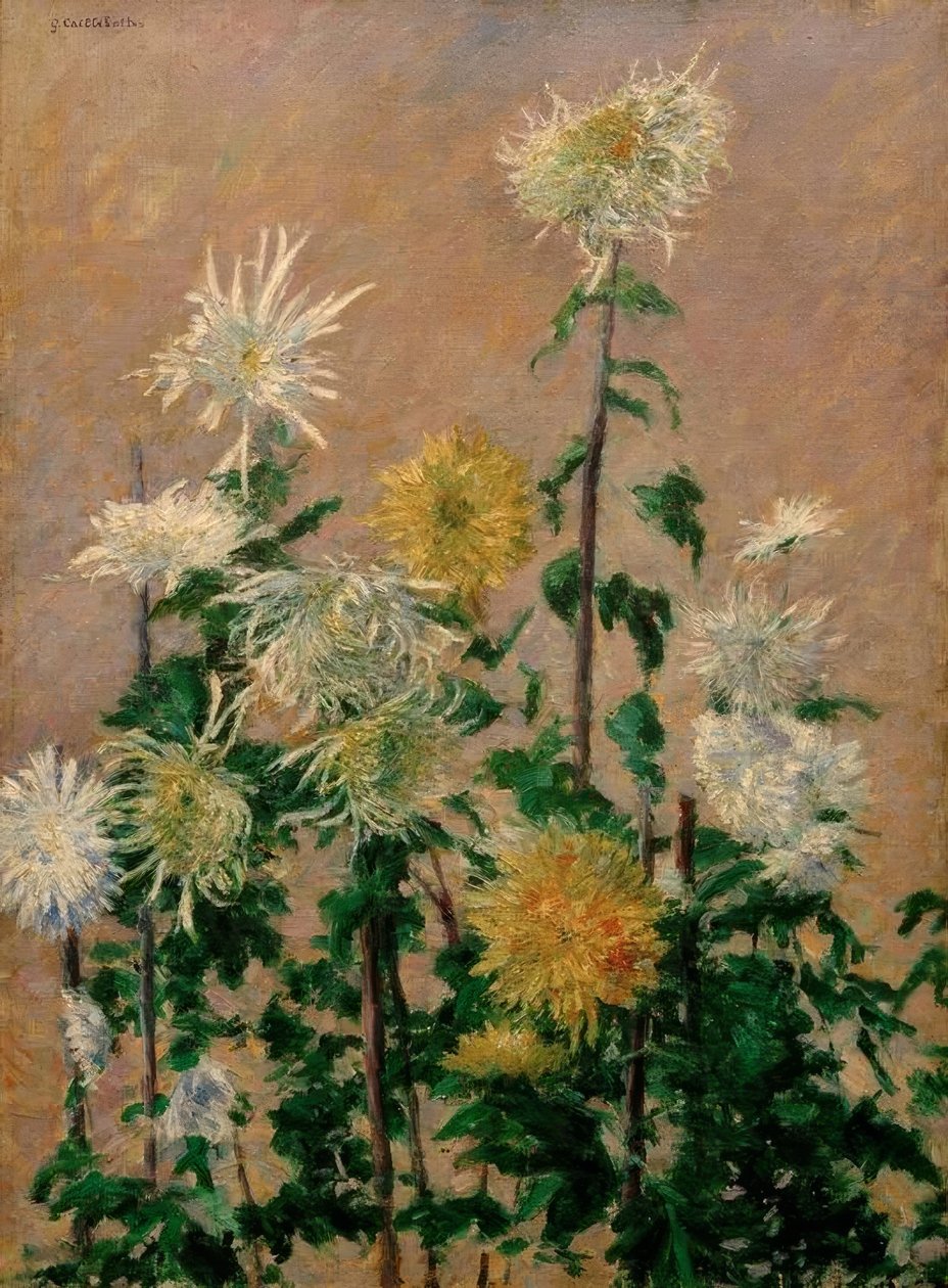 Valkoiset ja keltaiset krysanteemit tekijältä Gustave Caillebotte