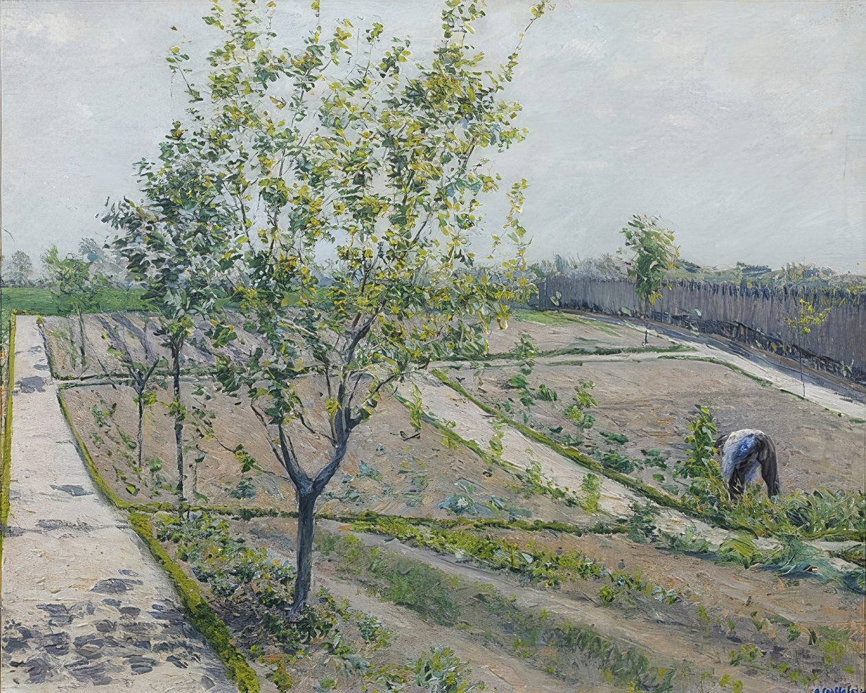 Kasvispuutarha, Petit Gennevilliers. 1881-82 tekijältä Gustave Caillebotte
