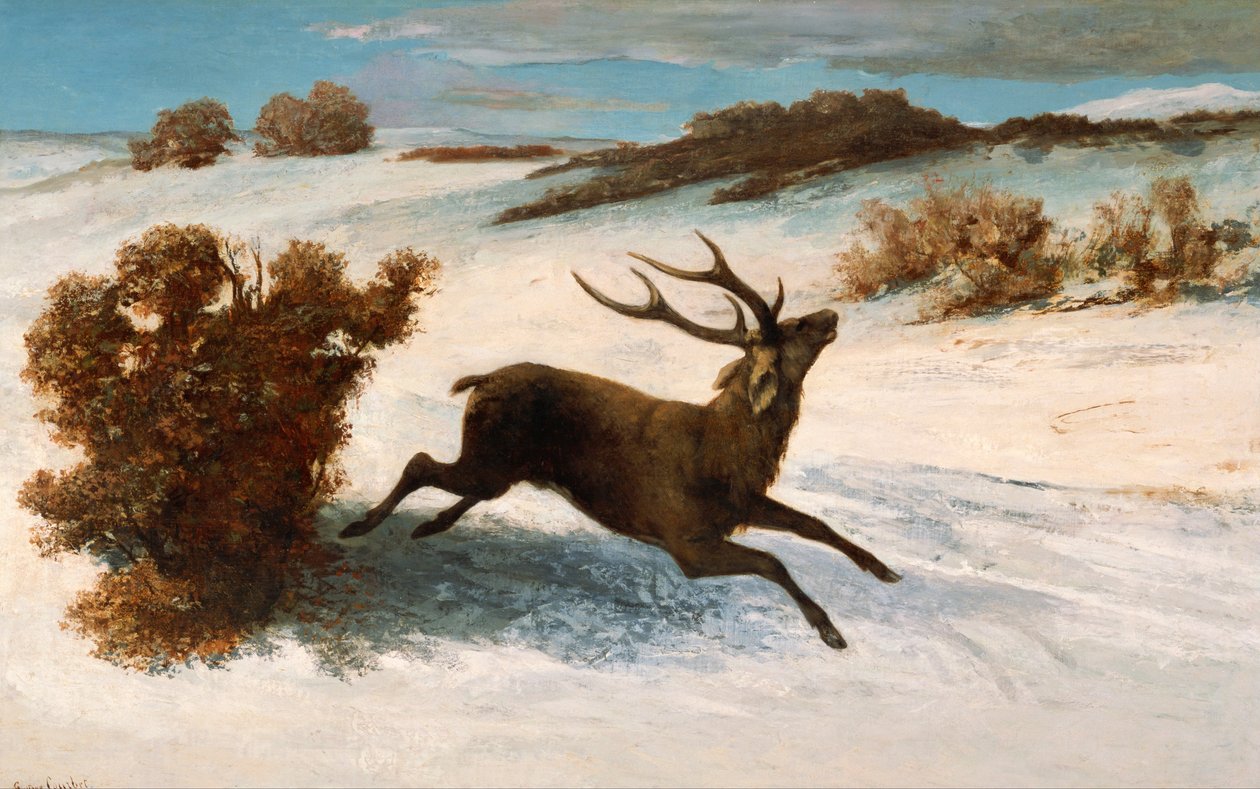 Hirvi juoksee lumessa. tekijältä Gustave Courbet