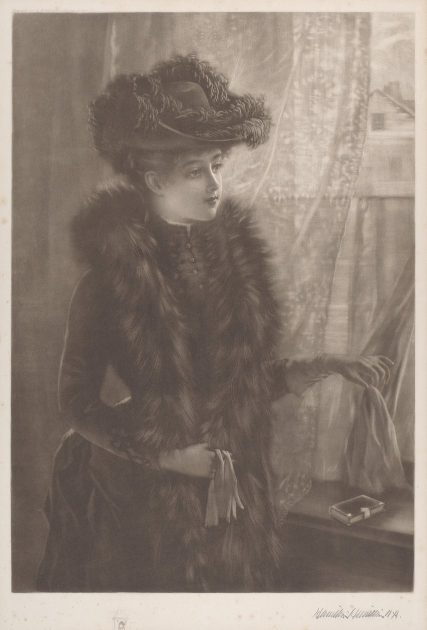 Nimetön (Lady in Furs) tekijältä Hamilton Hamilton
