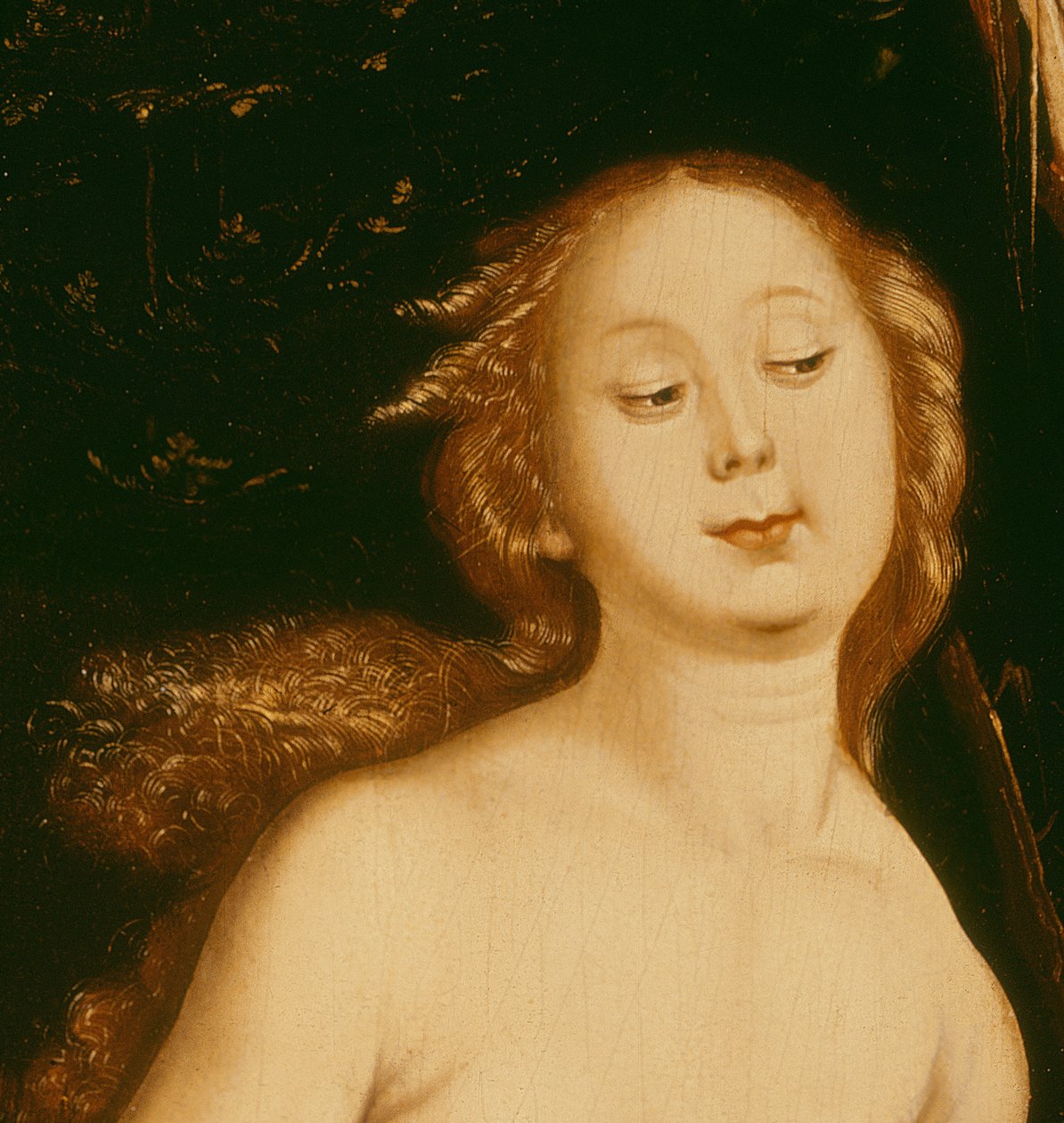 Yksityiskohta Eve, käärme ja kuolema öljy paneelin yksityiskohdassa 35456 tekijältä Hans Baldung Grien