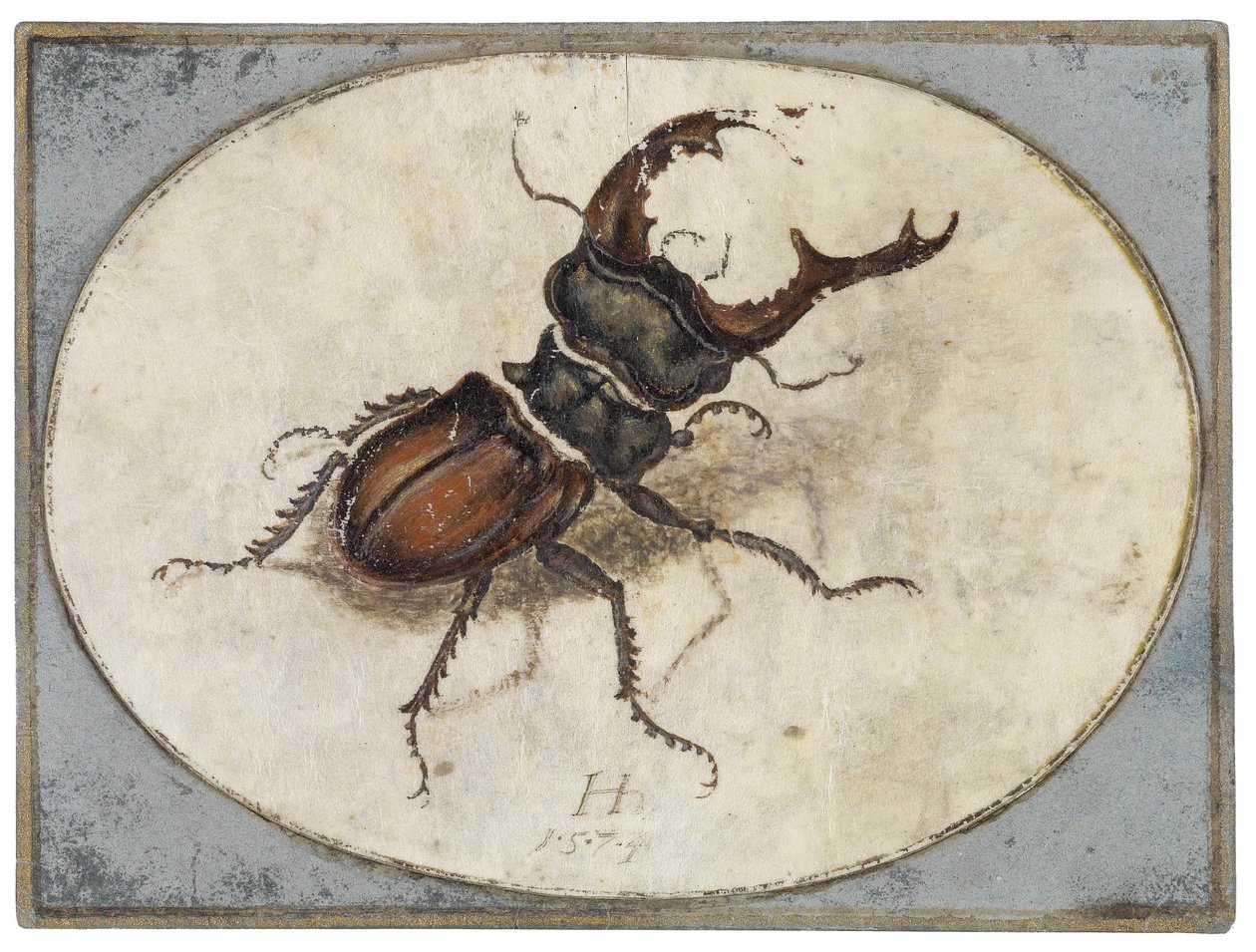 Hirschkäfer (nach Albrecht Dürer) tekijältä Hans Hoffmann