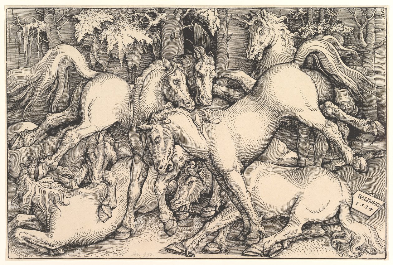 Seitsemän hevosen ryhmä, 1534. tekijältä Hans Baldung