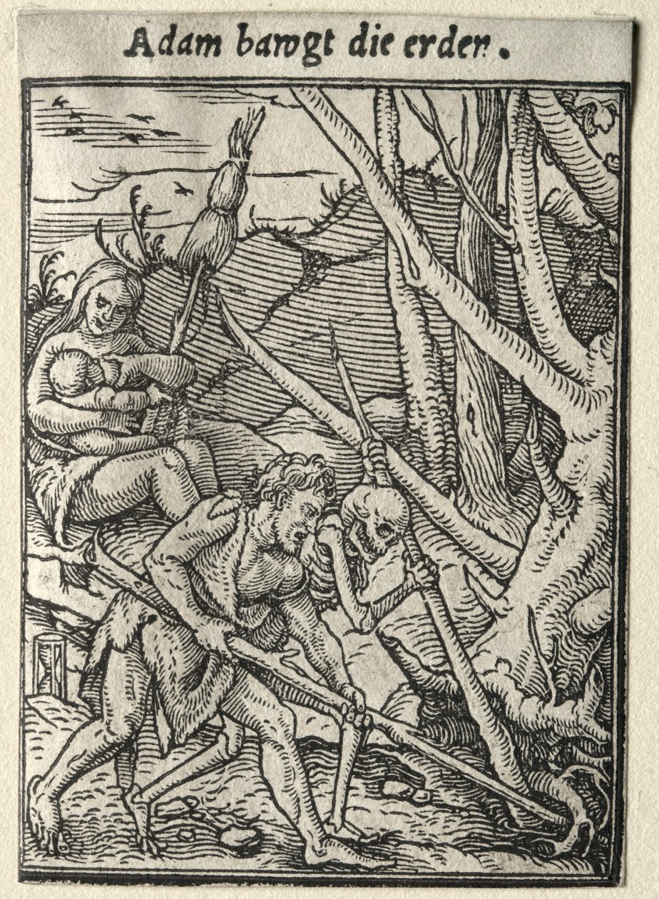 Dance of Death: Adam Tilling the Ground tekijältä Hans Holbein