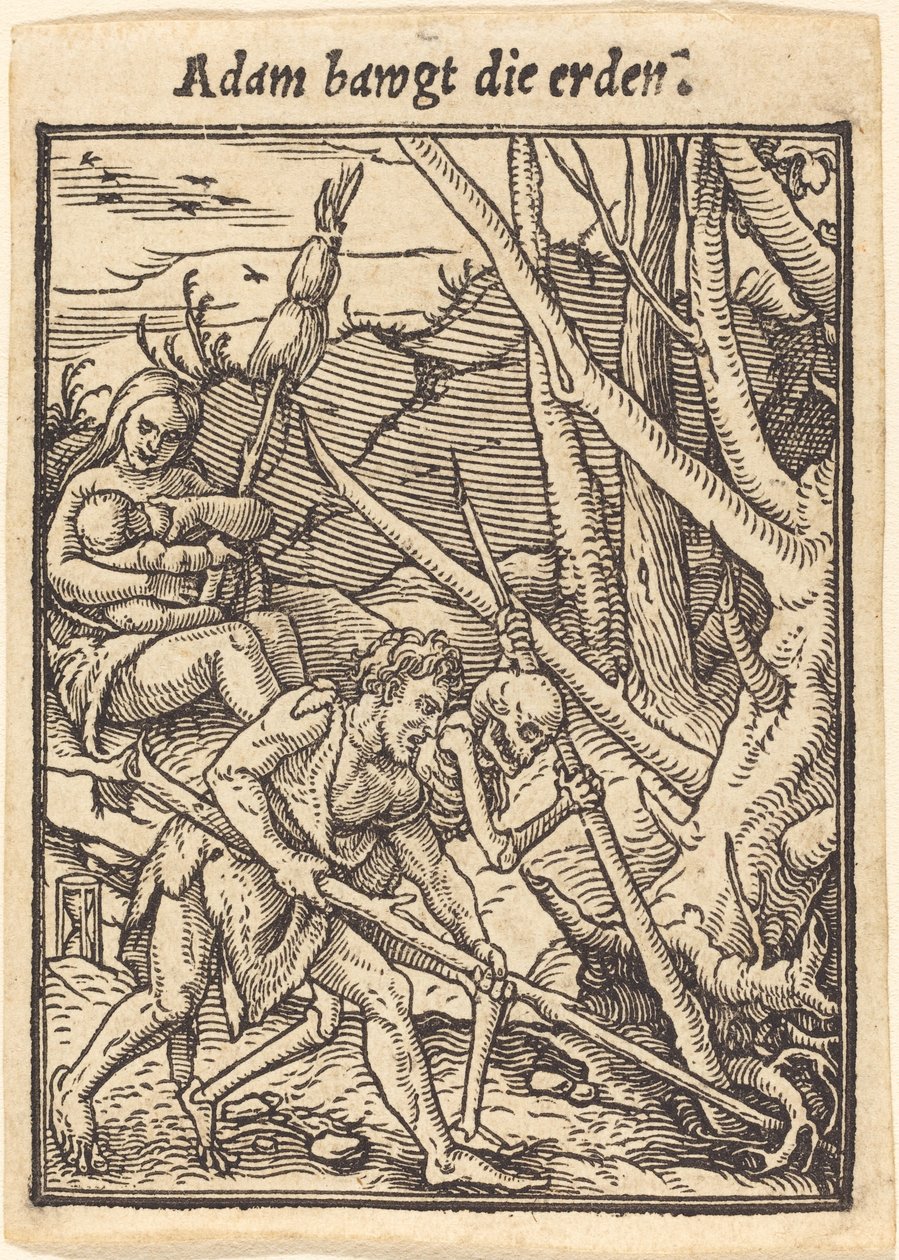 Adam heiluttaa maata. tekijältä Hans Holbein der Jüngere