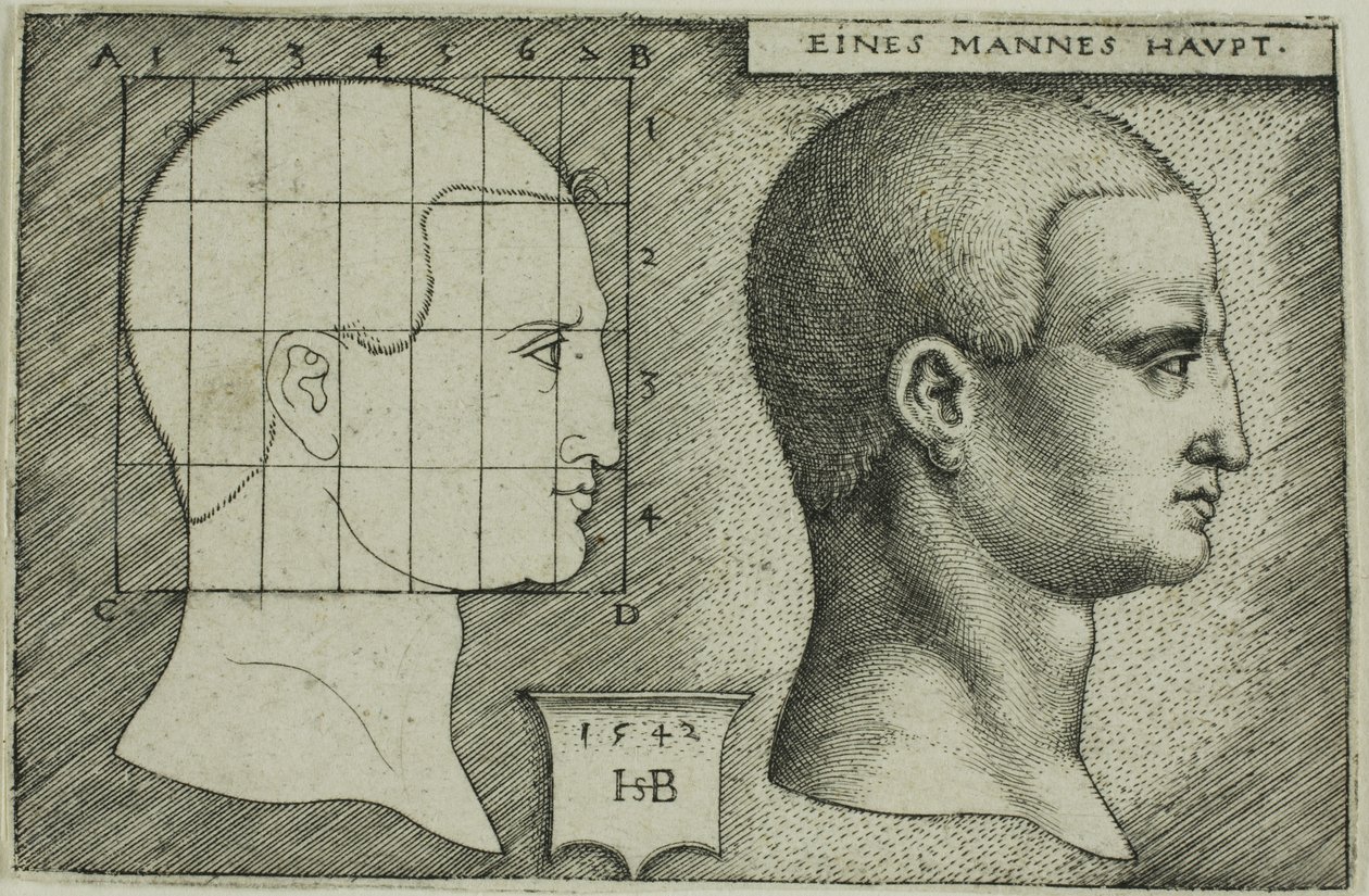 Profiili Study of Man