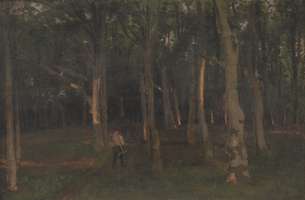 Metsä auringonlaskun aikaan tekijältä Hans Smidth
