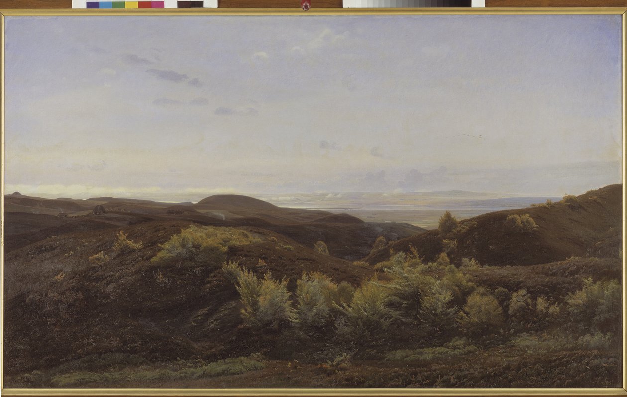 Heather Hills lähellä Ryeä, Jyllanti tekijältä Harald Foss