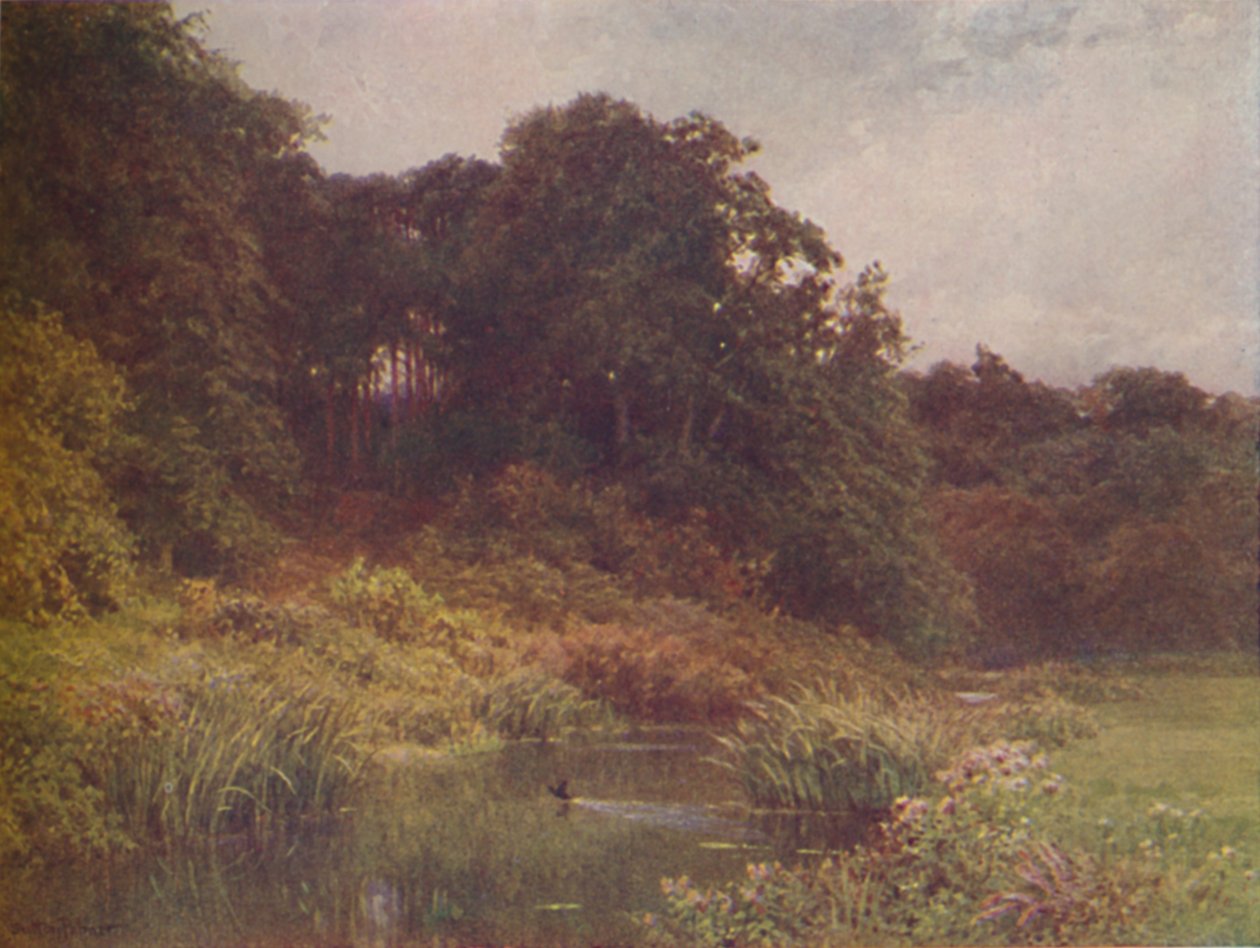 A Brook, 1910 tekijältä Harold Sutton Palmer