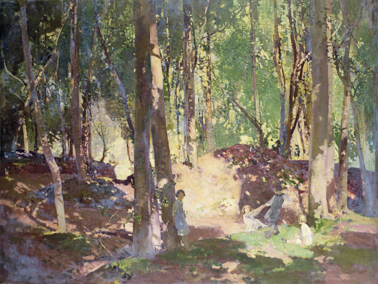 Aamu metsässä tekijältä Harry Watson