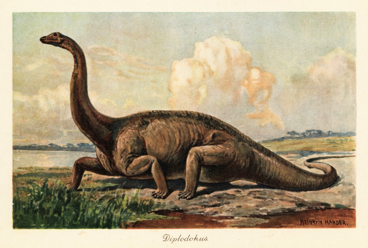 Kuolleet sukupuuttoon Diplodocus longus tasangoilla. tekijältä Heinrich Harder